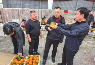 k8凯发(中国)天生赢家·一触即发